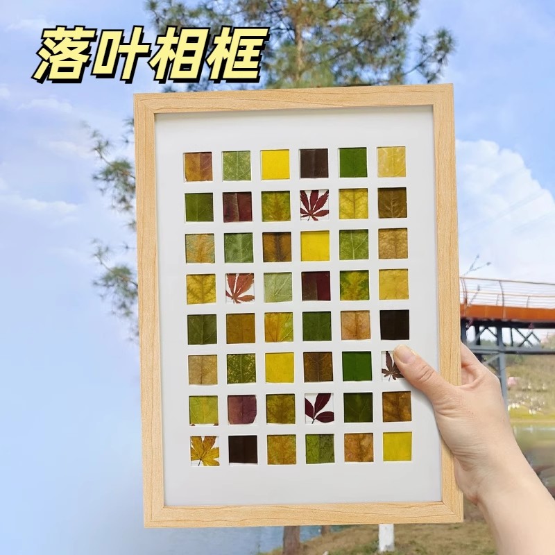 落叶相框标本秋天收集手工diy