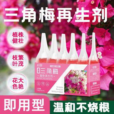 三角梅开花专用再生剂营养液促花爆花骨粉料养花枝繁叶茂促开花
