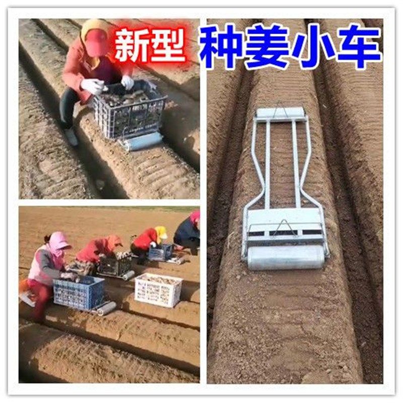 种姜小车新型种姜神器种大姜种植滑板车姜种运输车众泽农具,农机/农具/农膜,其它农用工具,淘宝优惠券,粉丝福利购,淘宝优惠卷