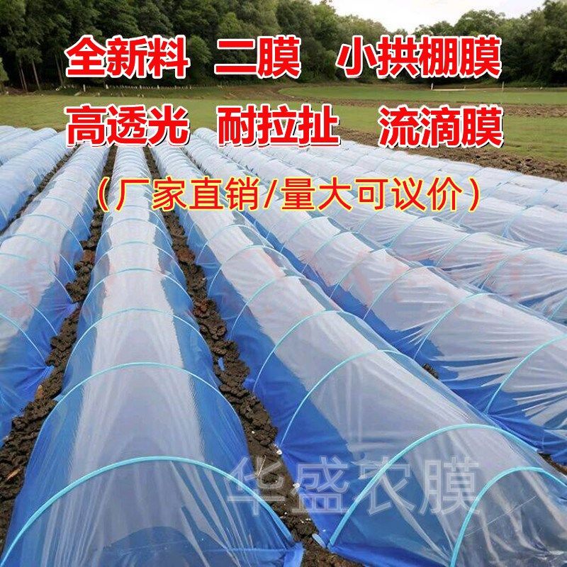 大棚内二膜塑料小拱棚膜种菜专用育苗保温防寒防冻透明农用薄膜,农机/农具/农膜,农用薄膜,淘宝优惠券,粉丝福利购,淘宝优惠卷