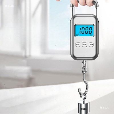 便携式手提电子秤50KG精度随身家用买菜行李快递挂钩弹簧称鱼器,厨房/烹饪用具,手提秤/挂秤,淘宝优惠券,粉丝福利购,淘宝优惠卷