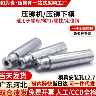 压铆模具压铆螺母压铆螺柱压铆螺钉定位销冲头液压压铆机下模配件