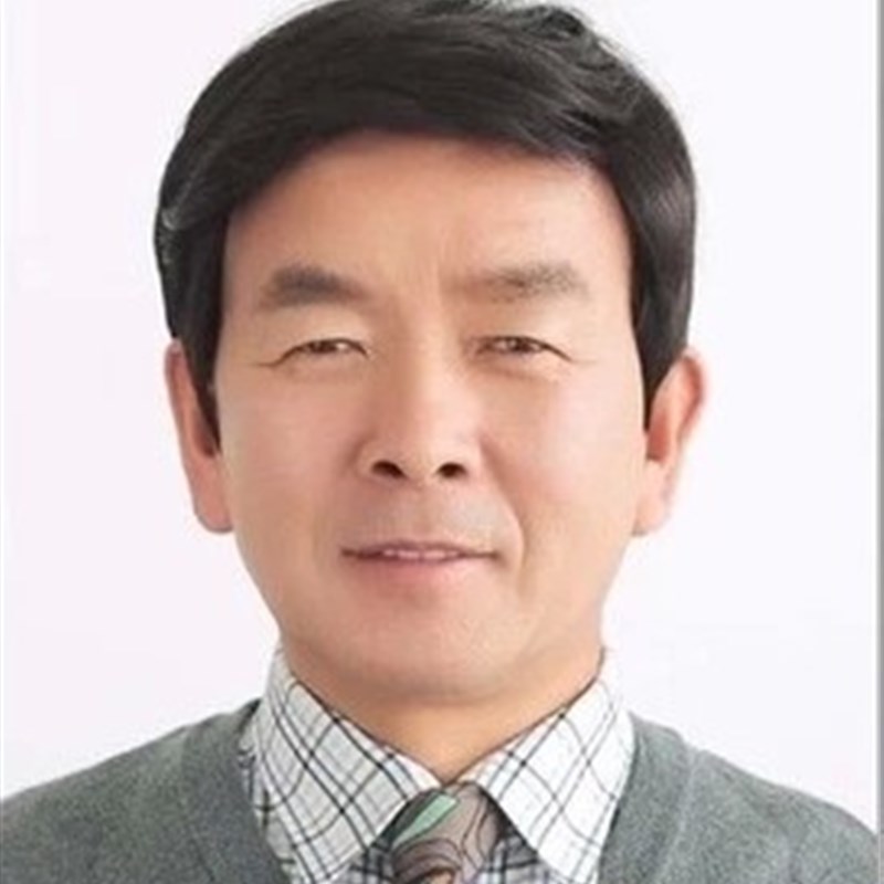 真发假发男短发韩版帅气真人发丝中年男士大背头中老年全头套假发