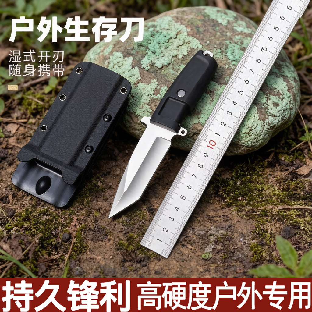 极武EX钢刀锋利小刀瓜果刀削皮水果刀厨房手把肉水果带刀鞘直刀