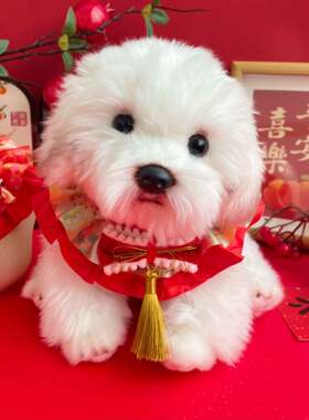 亚马逊猫咪新年蝴蝶结流苏围脖宠物狗狗过年围巾喜庆围嘴装扮饰品