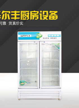 立式商用冰箱 冷藏展示柜冰啤酒饮料饮品保鲜双门陈列柜立式冷柜