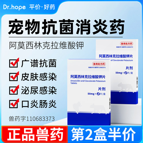 养宠常备宠物专用抗菌消炎药