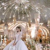 婚庆道具亚克力烟花吊顶流星雨跑马流水灯带婚礼堂烟花吊顶装