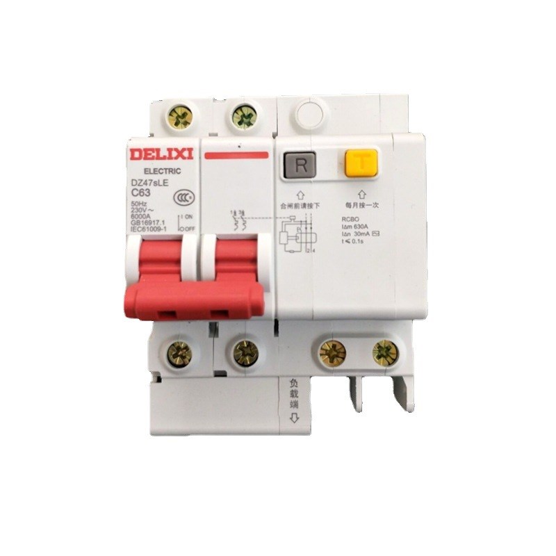空气开关断路器 DZ47SLE 2P+N C63A 家用总开关 总漏电开关DLX
