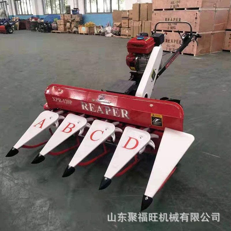 手推式柳条桑条收割机皇竹草甜叶菊割倒机荆芥茴香油菜割晒机