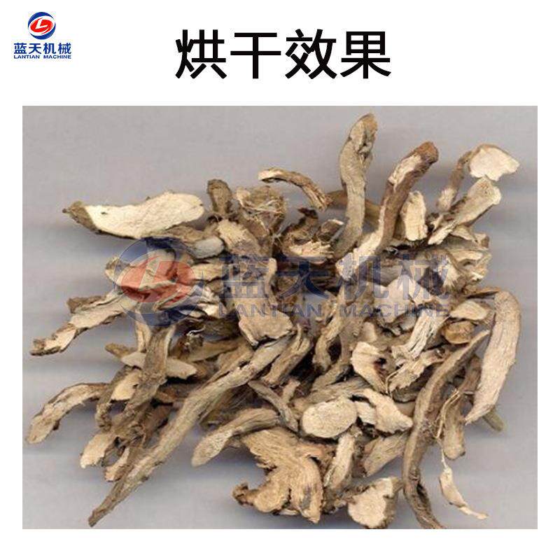 大型蒲蒲烘CZA干机 空气能山昌蒲烘干石机 香菖蒲菖叶除湿干菖燥