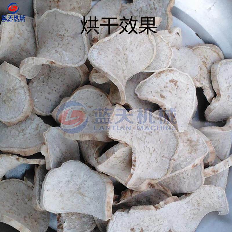 空气ESI片芋能芋头干机 芋头芋头皮烘干房 烘魔毛芋香芋切条干燥