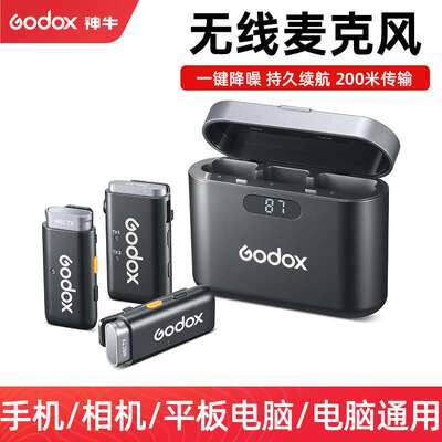 Godox神牛WEC WES2无线麦克风户外采访直播卖货短视频录制收音麦