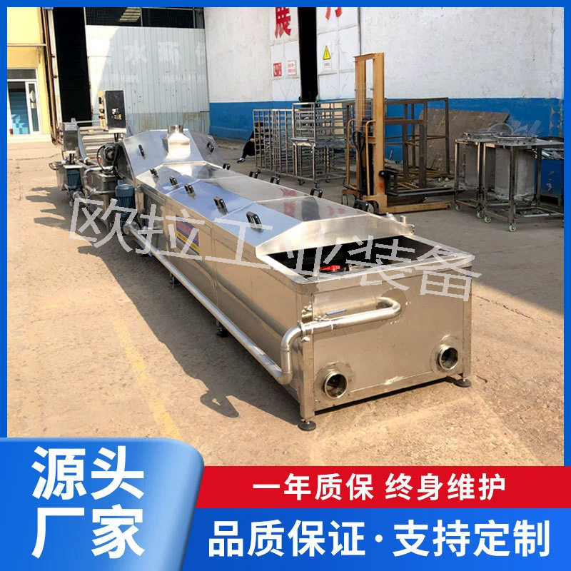 连续式瓜果蔬菜漂烫机流水线