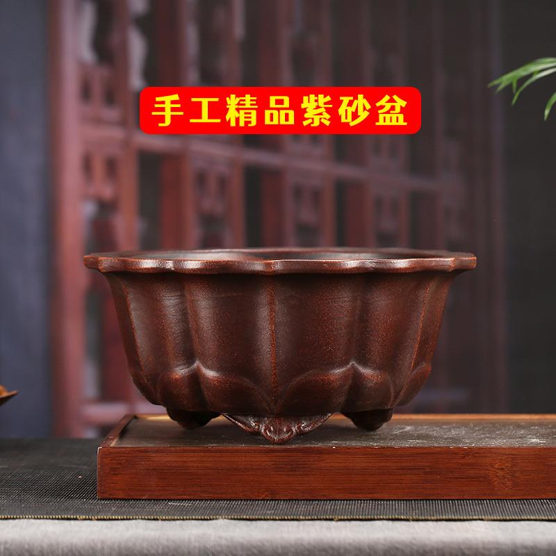 张治诚紫砂花盆筋纹莲花中大号圆盆海棠文竹盆景盆ZSZ19