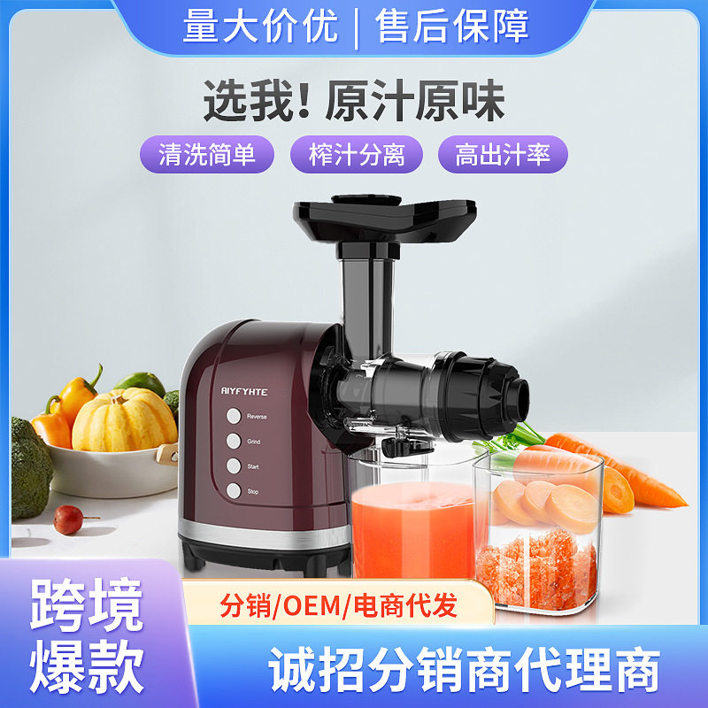 家用全自动慢速螺旋渣汁分离原汁
