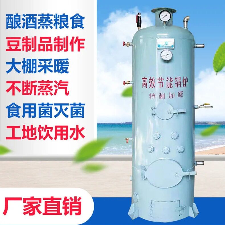 立式小型蒸汽锅炉供熟食蒸煮服装整烫烧柴燃煤两用锅炉