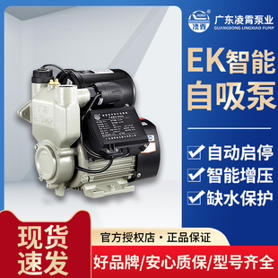 凌霄EK全自动增压泵高扬程自吸泵全屋冷热自来水220v静音泵增压泵