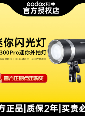 Godox神牛AD300pro外拍闪光灯户外婚纱模特摄影人像专用300W补光灯便捷打光灯锂电高速同步TTL测光室外口袋灯
