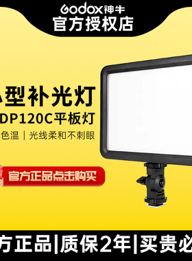 Godox神牛补光灯P120C摄影灯迷你小型桌面美食平板拍照LED打光灯珠宝拍摄户外便捷常亮柔和不刺眼双色温P260C