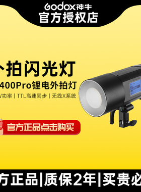 Godox神牛AD400pro外拍灯400W大功率锂电池高速同步TTL自动测光压太阳光专业户外拍摄婚礼人像便捷摄影闪光灯
