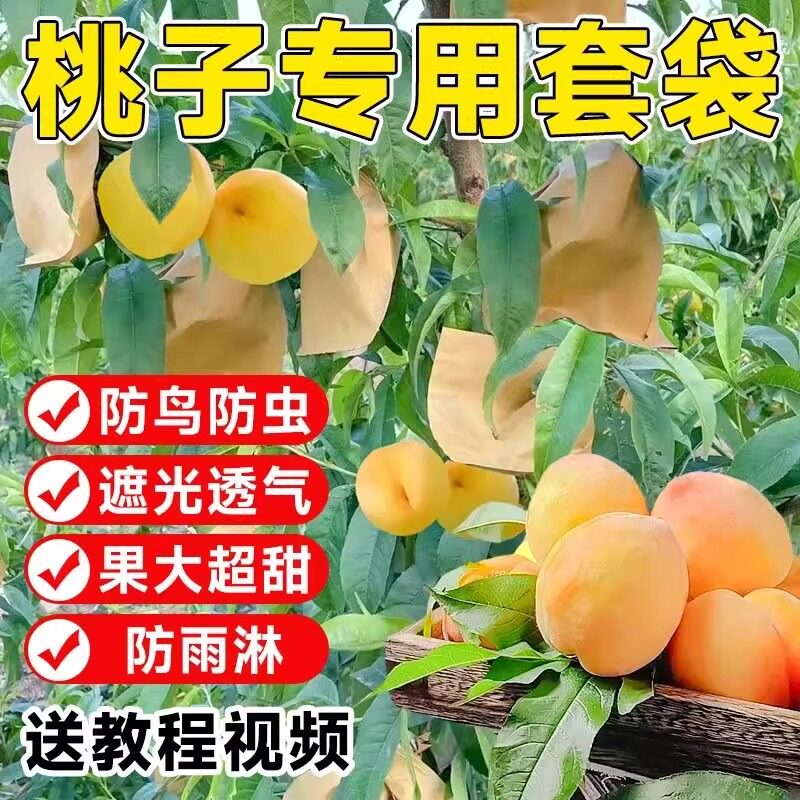 芒果套袋专用袋枇杷柚子金煌芒