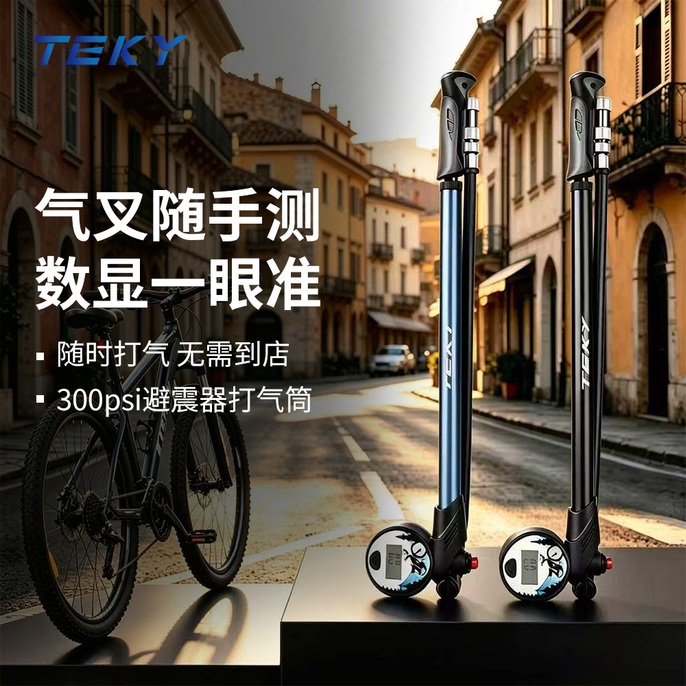 TEKY山地车前叉便携打气筒图片