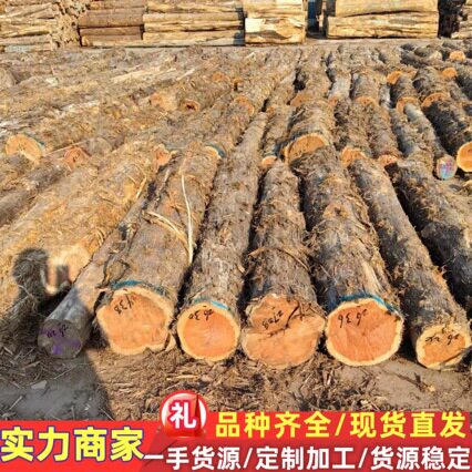 红心柏 适用家具 室内装修 雕刻 园林古建 寿材 红心柏原木红雪松