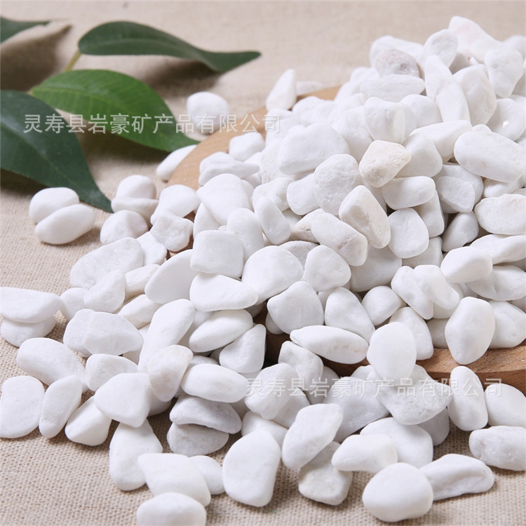 厂家批发白砾石园林造景白色鹅卵石鱼缸装饰白石米白色小石头