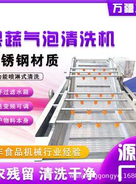 商用圣女果气泡清洗机红枣板栗清洗机器果蔬深加工前处理流水线