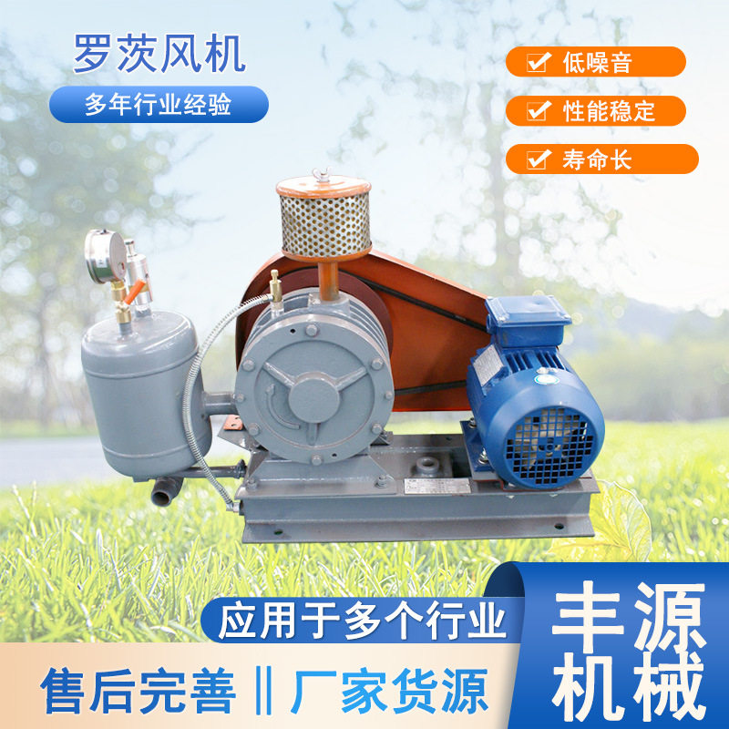 FH30回转式鼓风机污水曝气