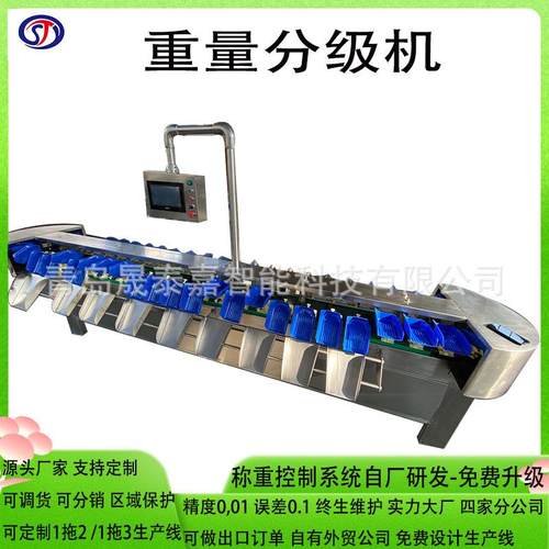 全自动拣果机选果机海鲜海蛎子重量分选分拣机高速称重不伤果