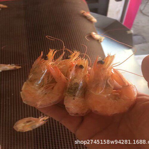 瑞晨大虾微波烘烤炉鲜虾熟化机器连续加热烤虾嘎嘎好