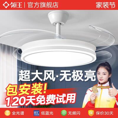 领王风扇灯2025新款吊扇吸顶隐形家用客厅餐厅卧室带电扇一体吊灯