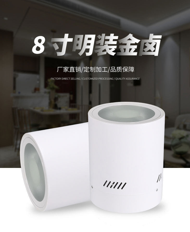 8寸明装金卤70-150W筒灯外壳非标工程家用免开孔天花灯灯具附件