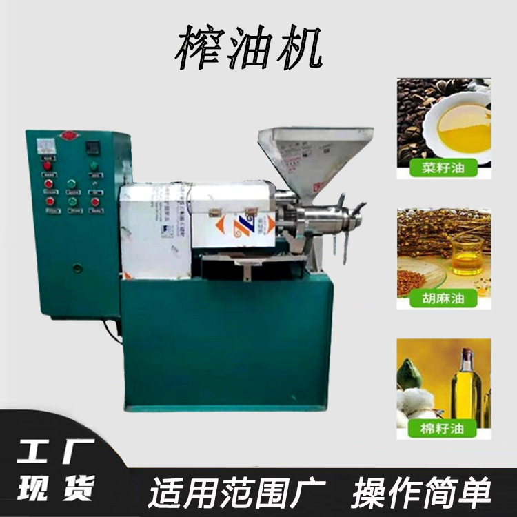 山茶籽橄榄果胡麻籽压油机炸油坊油茶果辣椒籽不锈钢榨油机