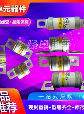 250GH-32S250GH-50S250GH-75S日之出快速熔断器