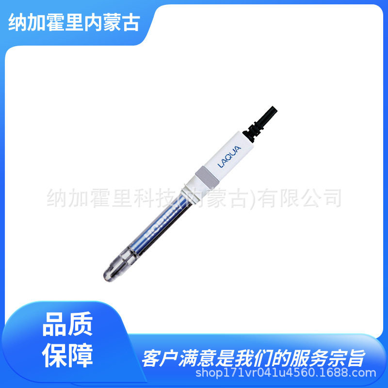 HORIBA 堀场 极细试管用pH复合电极 6069-10C