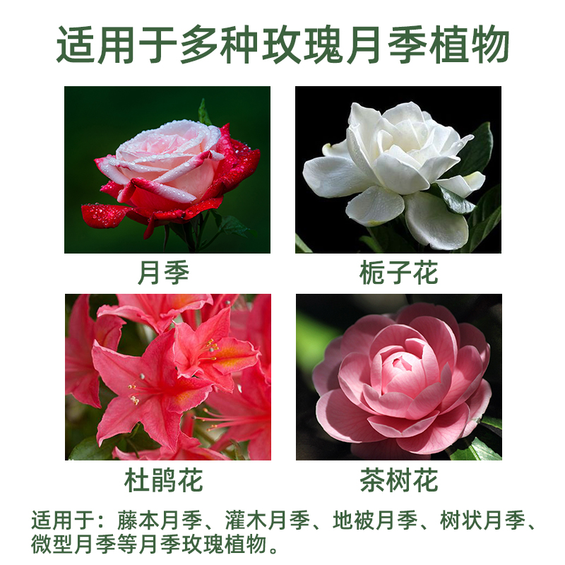 月季营养液有机浓缩室内盆栽玫瑰蔷薇花卉植物通用型液体花肥