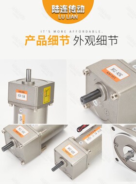 陆连电机 永磁直流电机12V24V齿轮减速电机120W160W350W110V220V