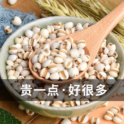 正宗兴仁小薏米仁贵州兴仁薏仁米新米薏苡仁去湿2025新货五谷杂粮