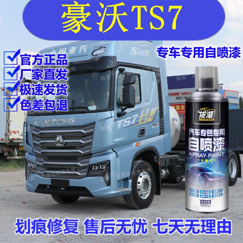豪沃TS7专车专用自喷漆