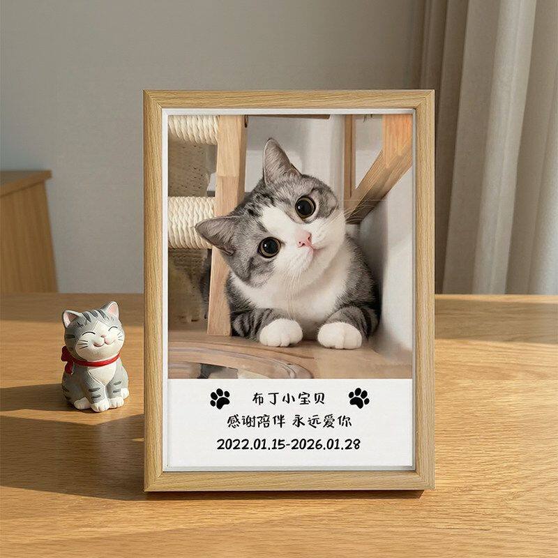 宠物陪伴纪念相框摆台定制免费定制高清照片狗狗猫咪台印收藏相框