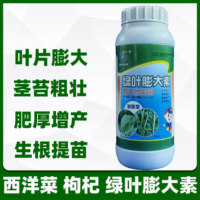 西洋菜枸杞专用绿叶膨大素叶w片膨大 茎苔粗壮生根提苗增产叶面肥