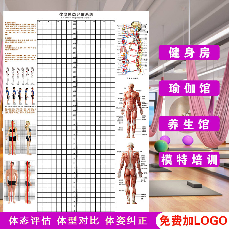 体态评估表挂式贴式体测健身房瑜伽馆私教身高P臂展网格身体对比