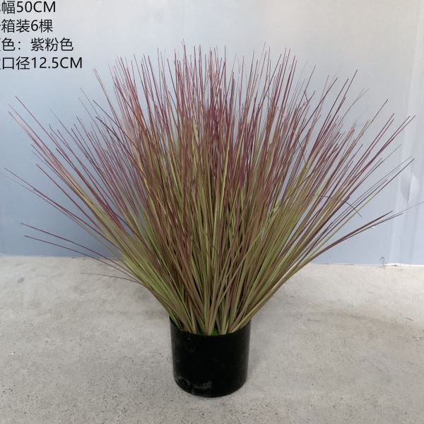 仿真洋葱草芦苇草仿真狗尾巴草干花摆件场景布置商场酒店家居陈列