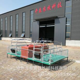 复合板养殖BMC母猪分娩床现货双体连体母猪产床 母猪产床厂家欧式
