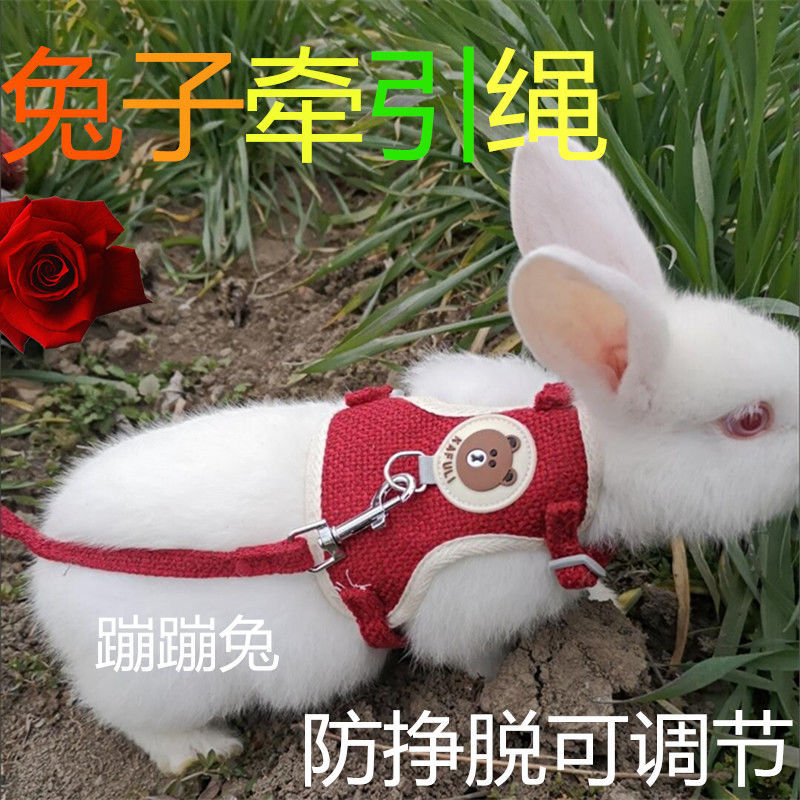 兔子牽引繩防掙脫兔鏈子
