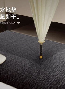 入户门地垫脚垫2025r新款耐脏防滑门垫进门高级门口地毯可裁剪垫