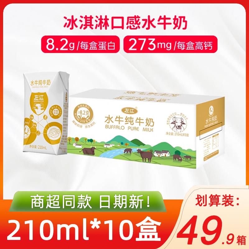 新货水牛纯牛奶210ml*10旗
